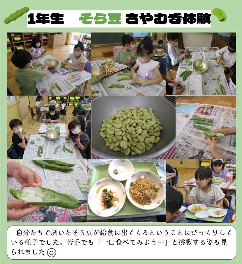 １年生ホームページ (2)