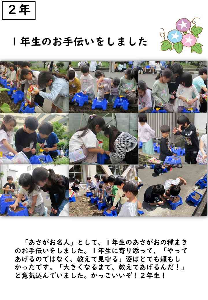0512あさがお