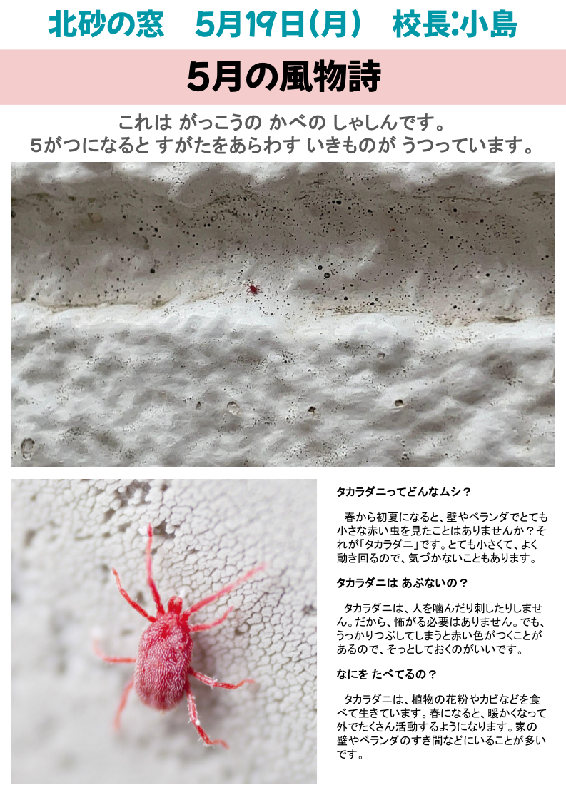 北砂の窓2025（５）