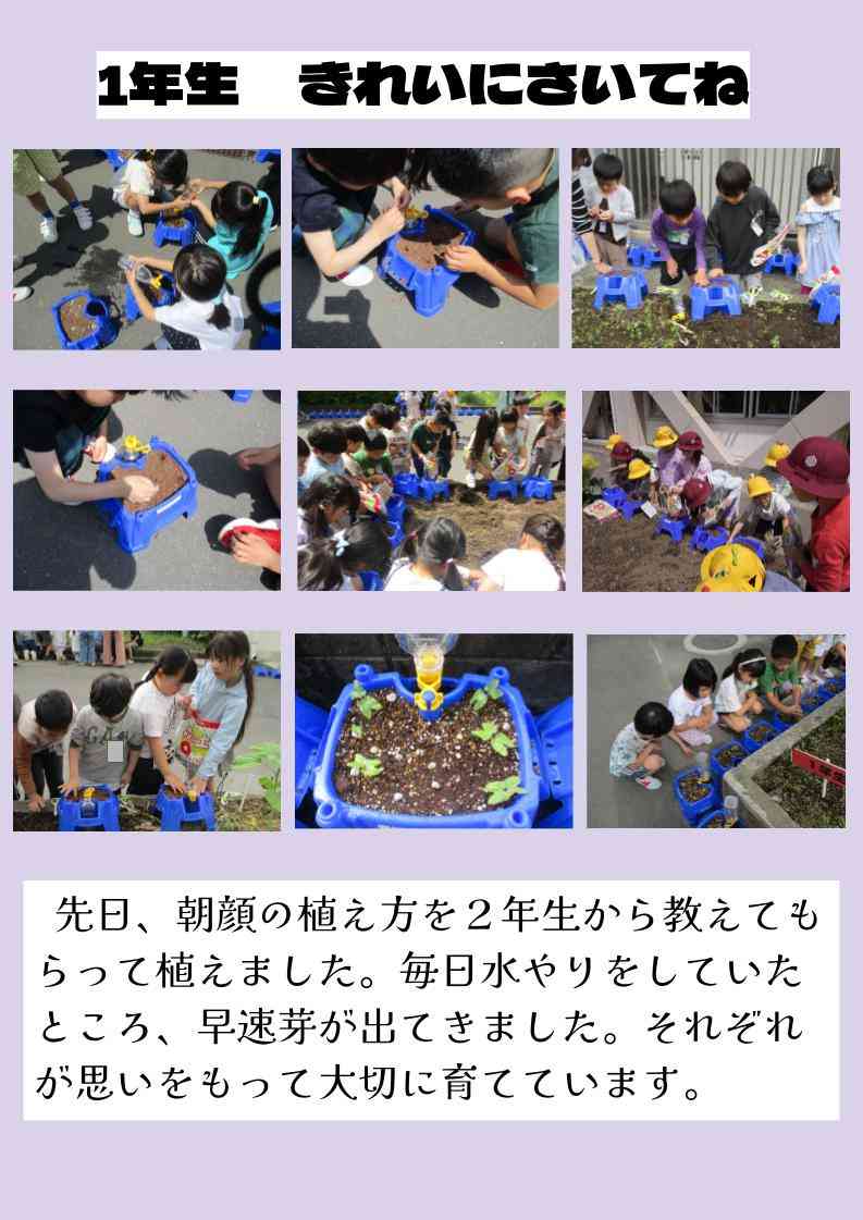 １年生ホームページ (1)