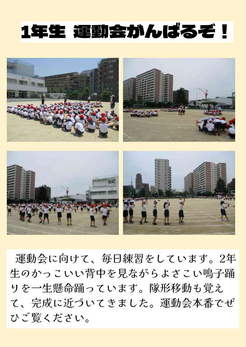 １年生ホームページ (2)