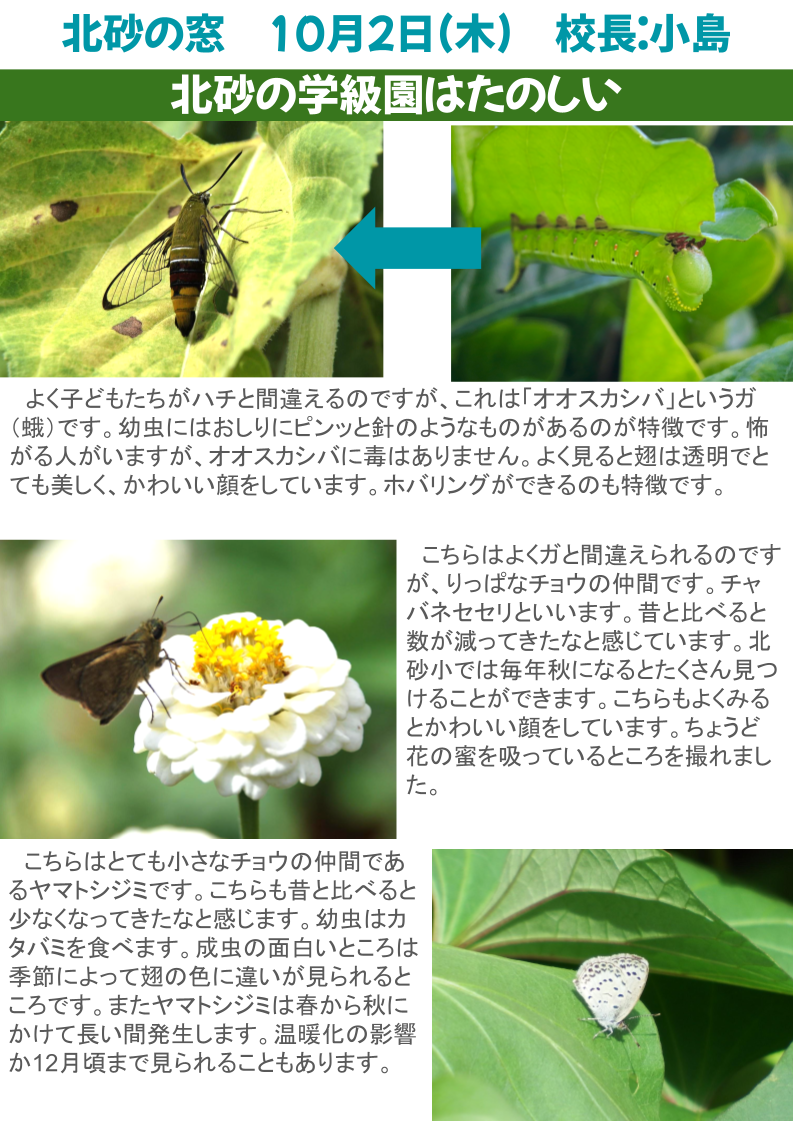 北砂の窓2025（10）