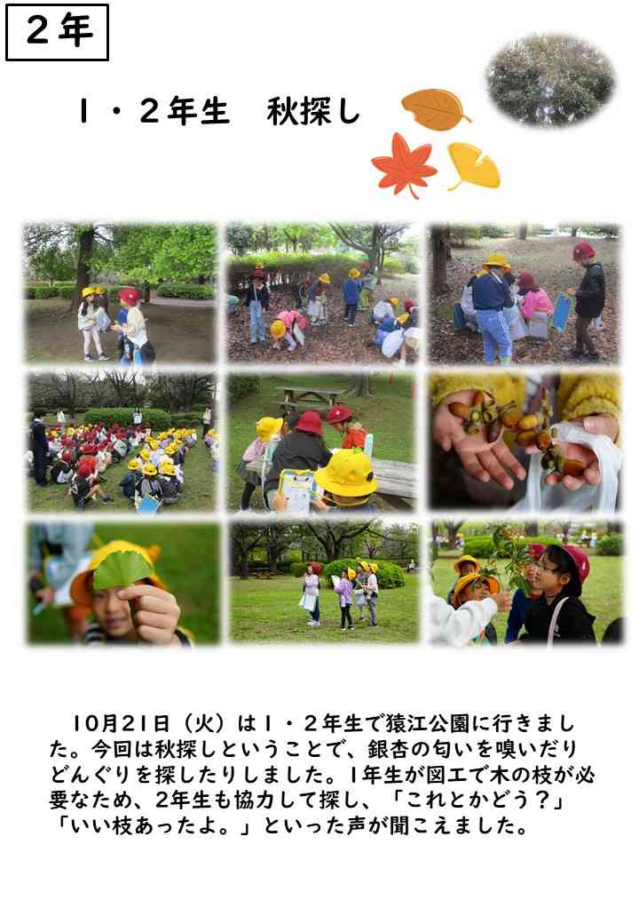1021秋探し