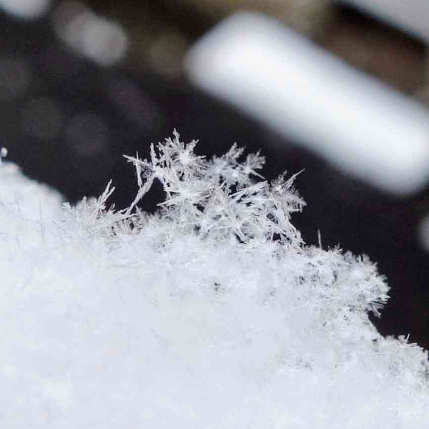 b7b80788-1988-4999-9e07-6e01c88ff188~1