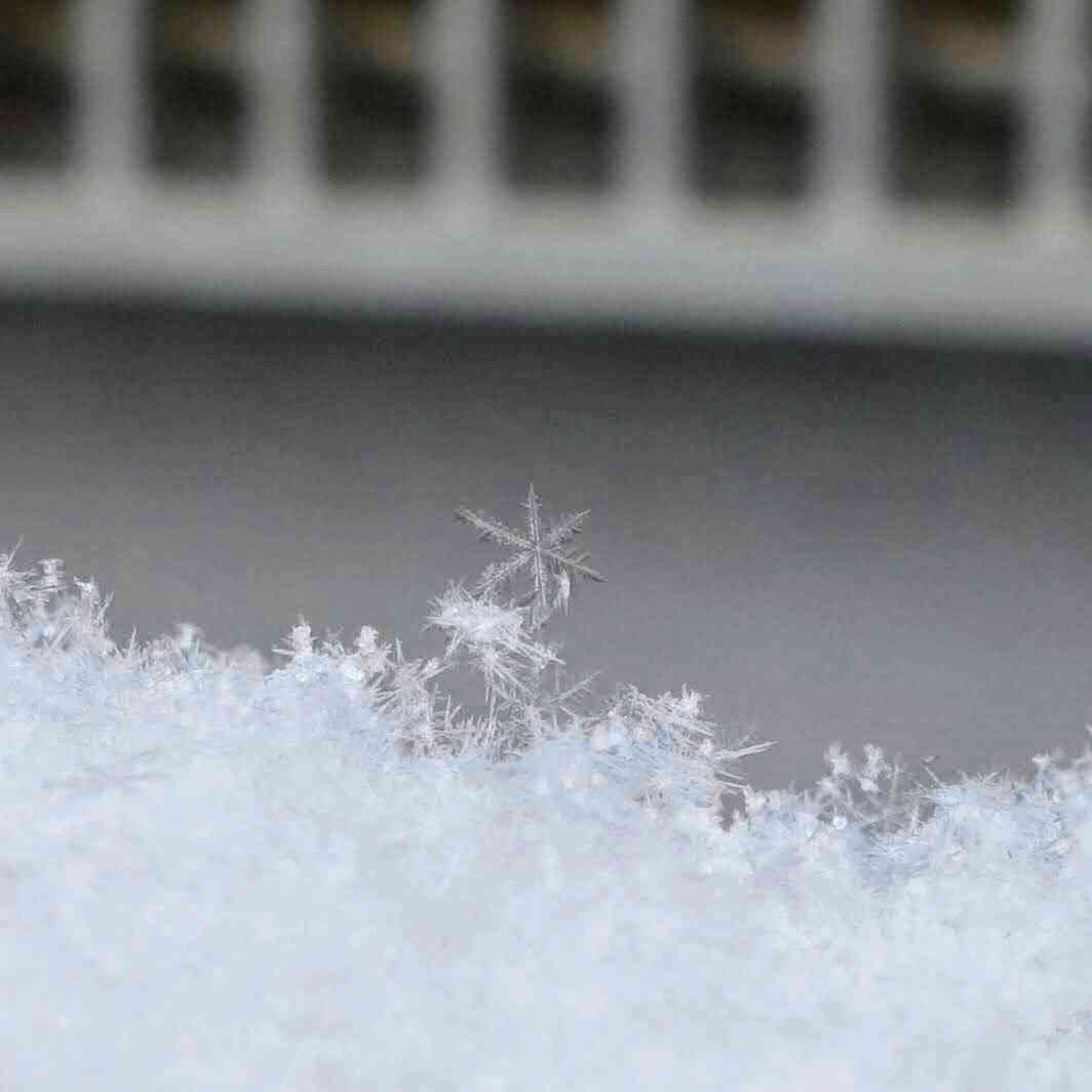 0a69233c-e6ff-43af-9321-3667ba3b0024~1