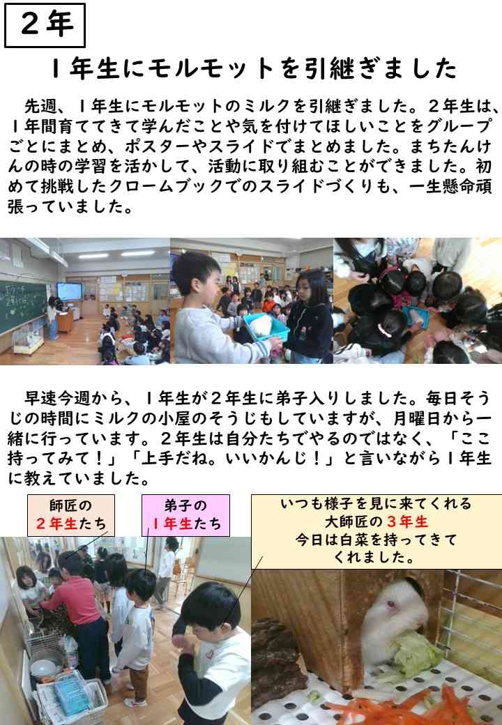 0303モルモット引継ぎ①