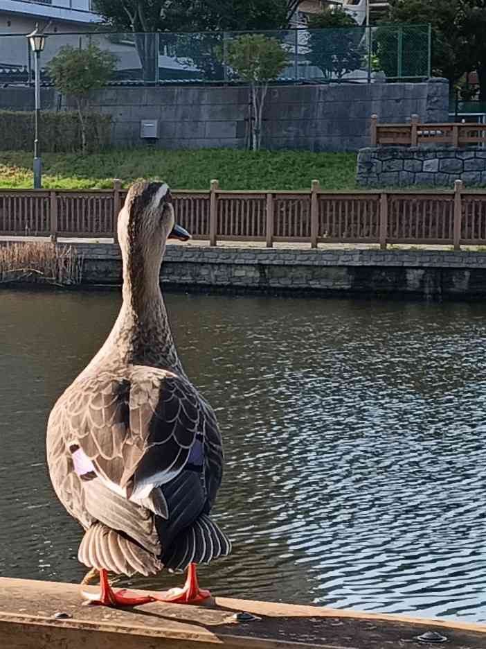 IMG_20260406_073857134~2