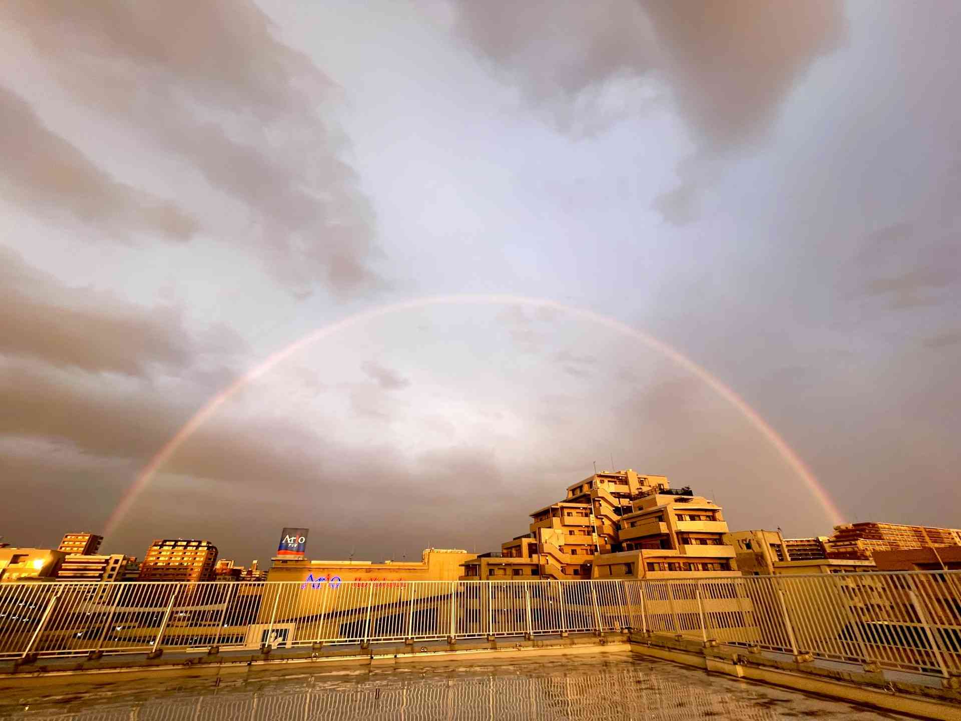 52d23c26-f727-44bf-8291-94119b9637c8