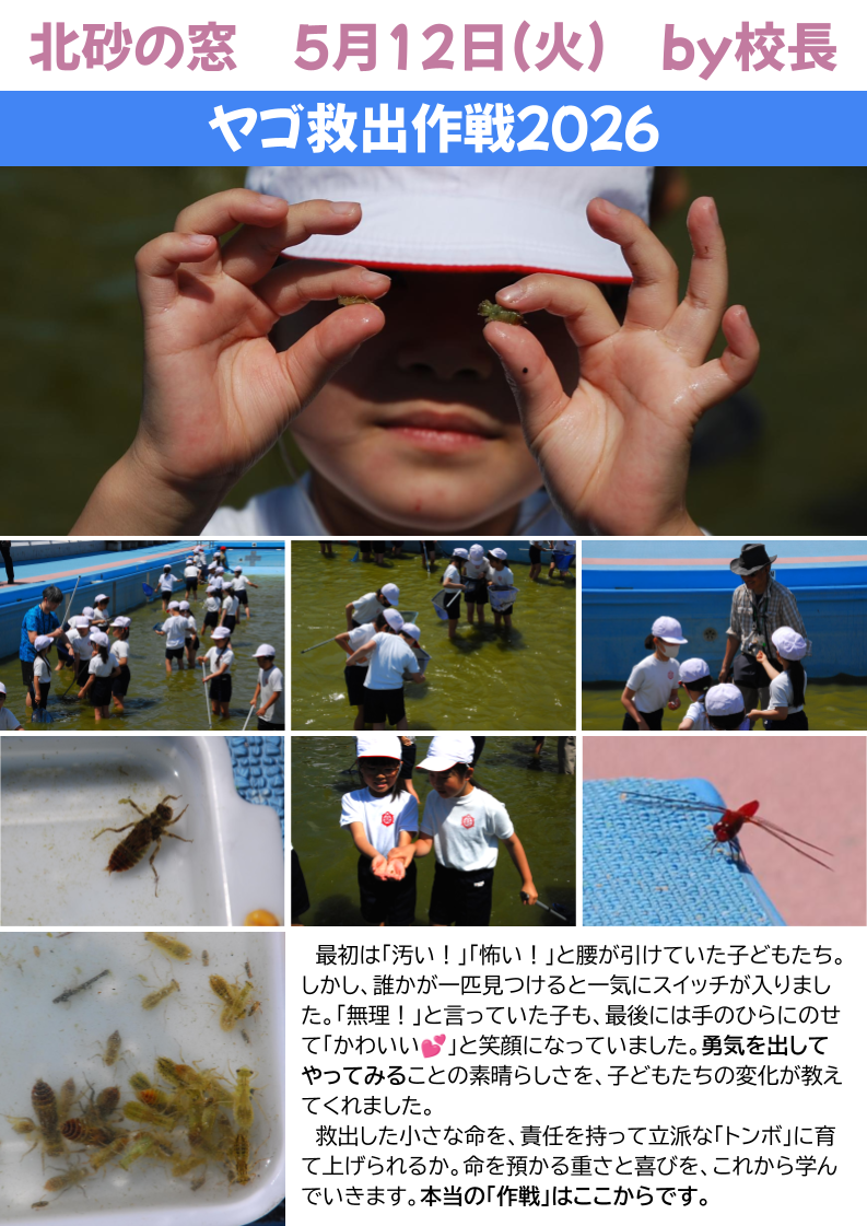 北砂の窓2026（5）