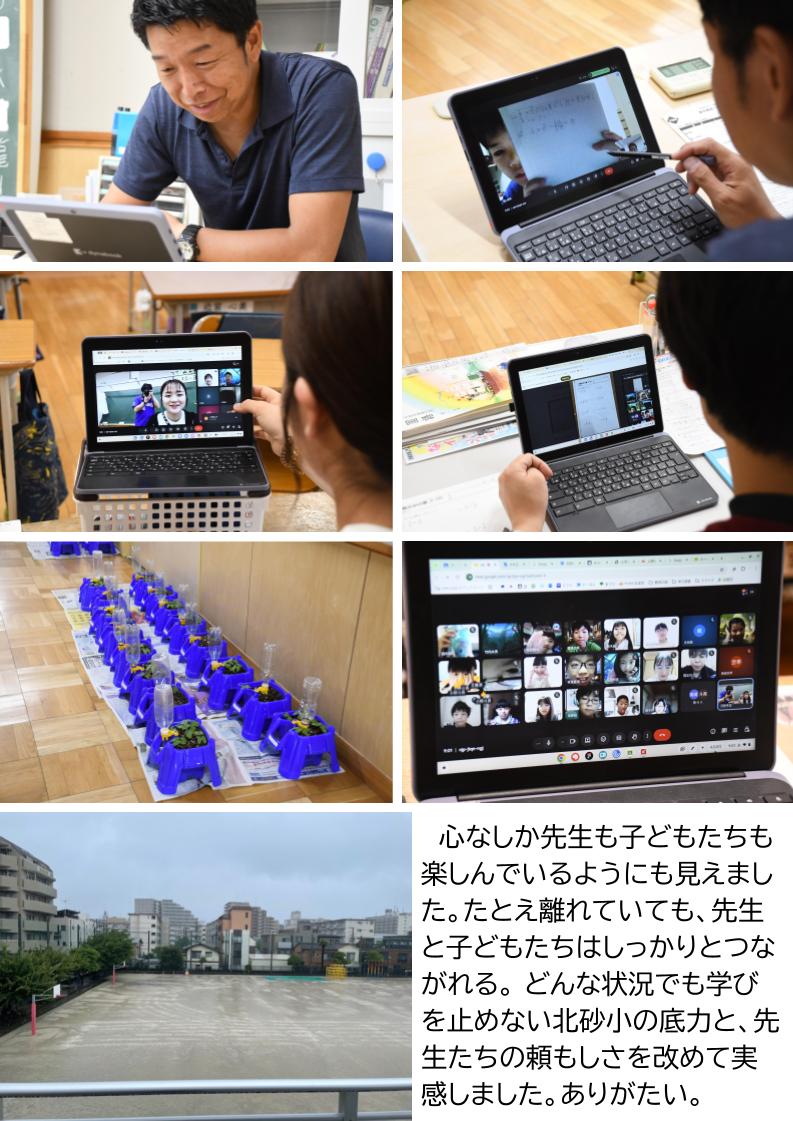 北砂の窓2026（6） (3)