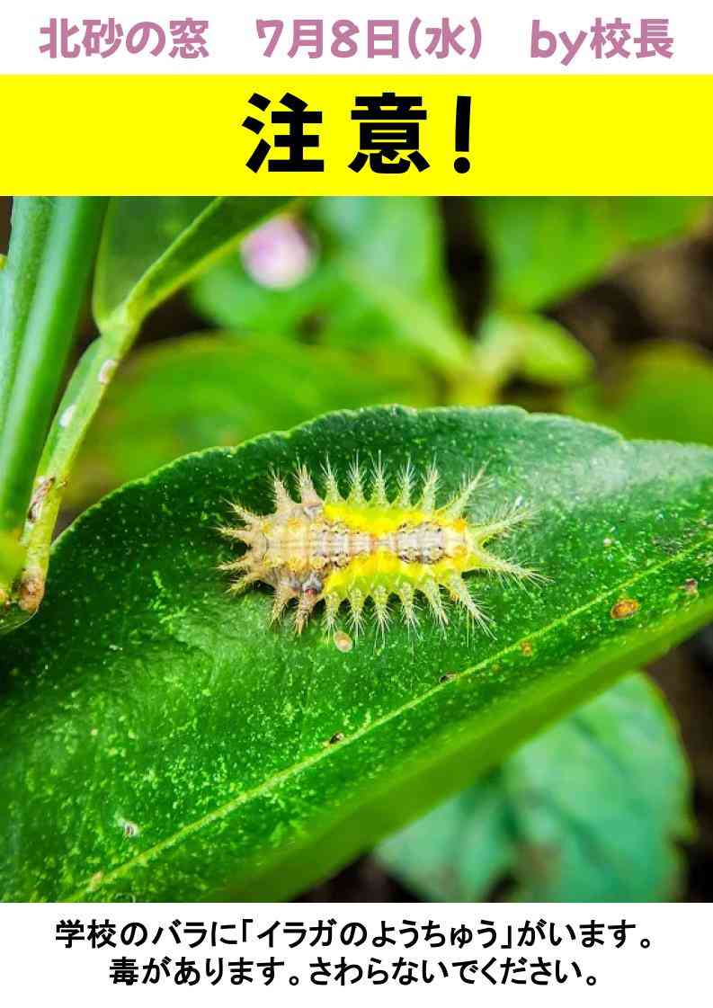 北砂の窓2026（7） (2)